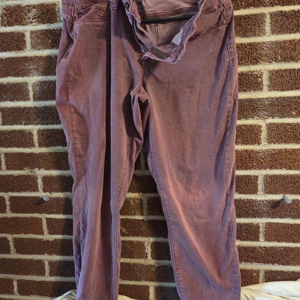 Maurices Plum Trousers